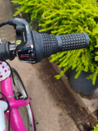 Bicicleta infantil 20 niña