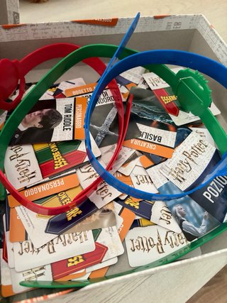 Harry Potter Essere o Non Essere Gioco