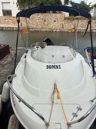 Quicksilver 430 Activ