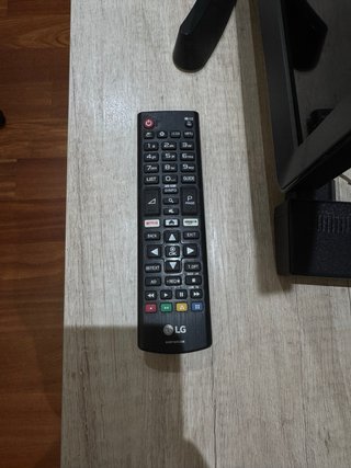 Smart TV/Monitor LG 24 24TL510S + Mando