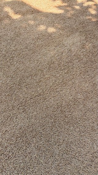 Alfombra Estera Beige y Azul - Fibra Natural