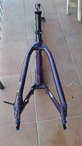 Telaio GT La Bomba Dirt Purple