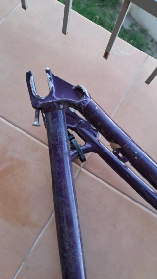 Telaio GT La Bomba Dirt Purple