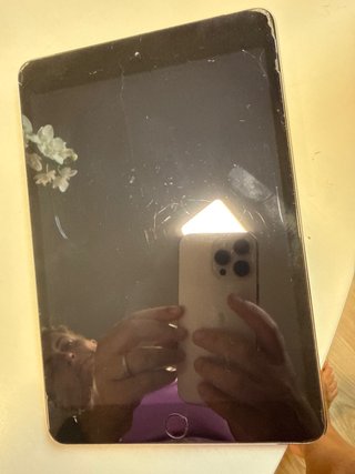 Apple iPad Plata