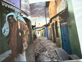 África- Libro de lujo. Gran Formato