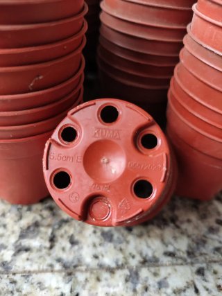 Macetas 5.5 cm Plástico Marrón (Pack 120)