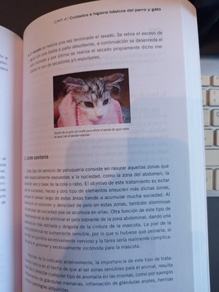 Higiene, cuidados básicos y peluquería canina y felina