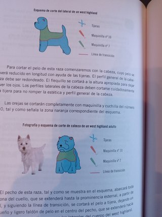 Higiene, cuidados básicos y peluquería canina y felina