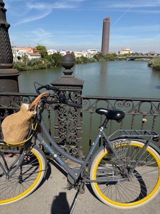 Bicicleta Holandesa Contrapedal