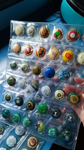 Colección 252 chapas de cava