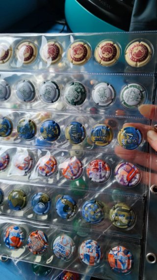 Colección 252 chapas de cava