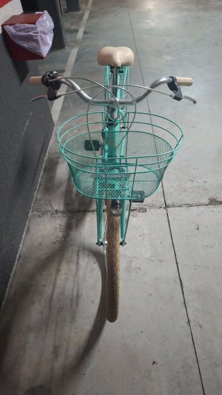Bicicleta Adriatica Panda 26 Azul