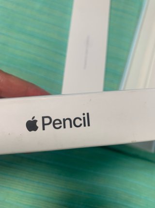 Apple Pencil 1ª Gen