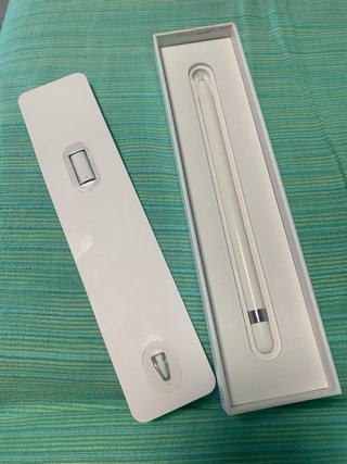 Apple Pencil 1ª Gen