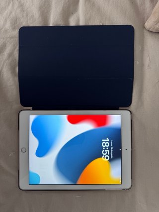 Apple iPad 5ª Generacion Plata Rosado