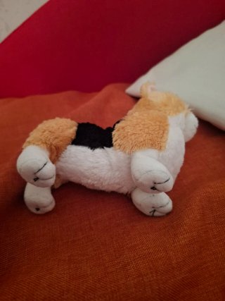 Peluche TY Otis