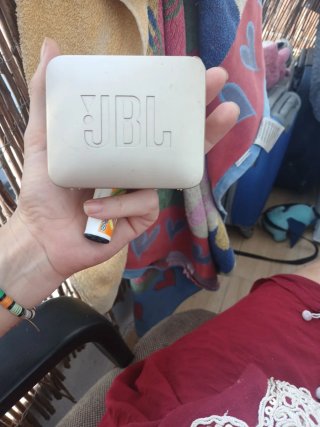 Altavoz JBL Go 2 Dorado/Plateado