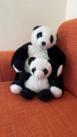 Peluche Orso Mamma e Cucciolo