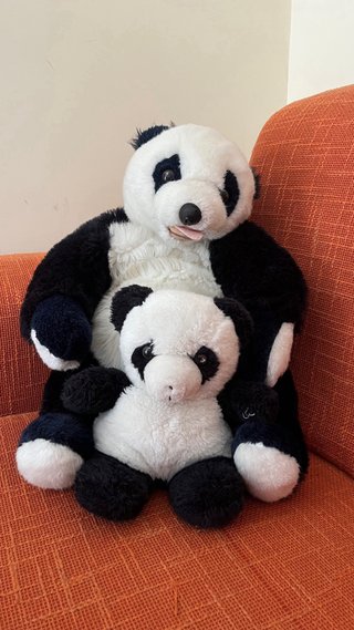 Peluche Orso Mamma e Cucciolo