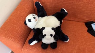 Peluche Orso Mamma e Cucciolo