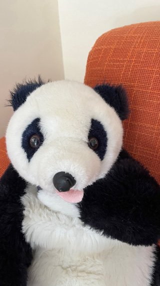 Peluche Orso Mamma e Cucciolo