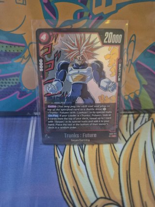 SB02-011 Trunks: Future