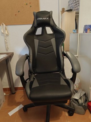 Silla Gaming Ergonómica Dowinx Negra/Gris