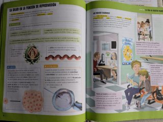 Ciencias Naturales 6° Primaria FanFest Edelvives