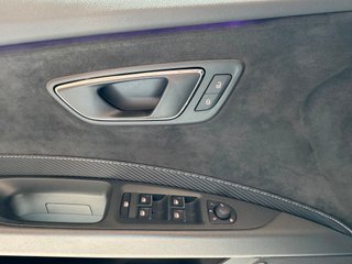 SEAT Leon CUPRA 300CV Backets y Techo