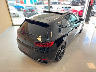 SEAT Leon CUPRA 300CV Backets y Techo