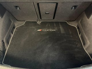 SEAT Leon CUPRA 300CV Backets y Techo