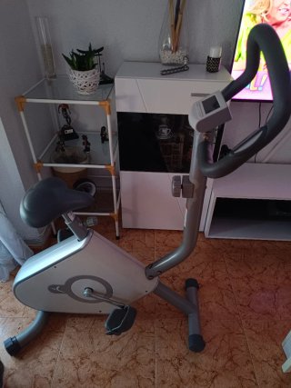 Bicicleta Estática Gris