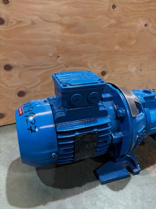 Bomba industrial PCM con motor WEG