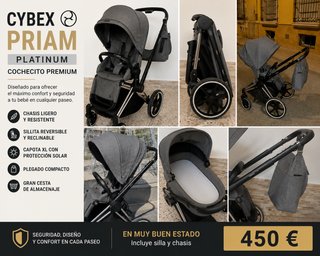 Cochecito Cybex Priam Platinum Gris
