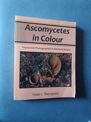 Libro de micologia de Ascomycetes