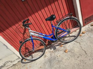 Bici da città blu
