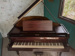Piano de cola Hofmann