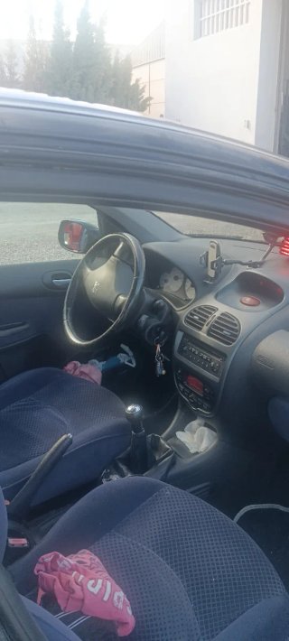Peugeot 206 2004
