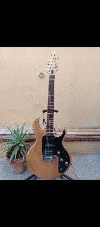 Colección Guitarras y Bajos Peavey T