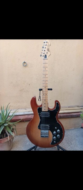 Colección Guitarras y Bajos Peavey T