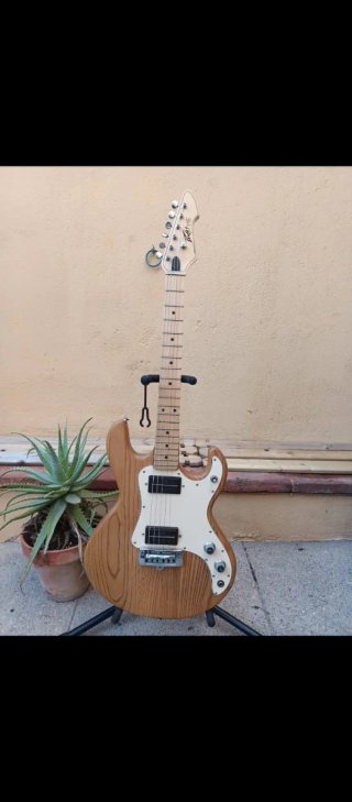 Colección Guitarras y Bajos Peavey T