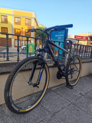 Bicicleta de Montaña
