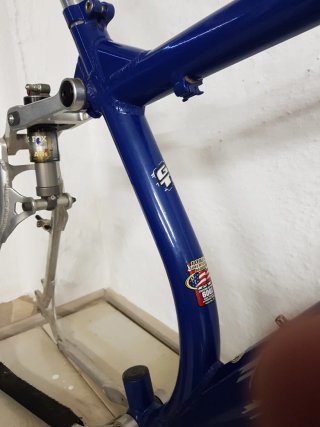Cuadro GT LTS 1000 DS clasico descenso dh
