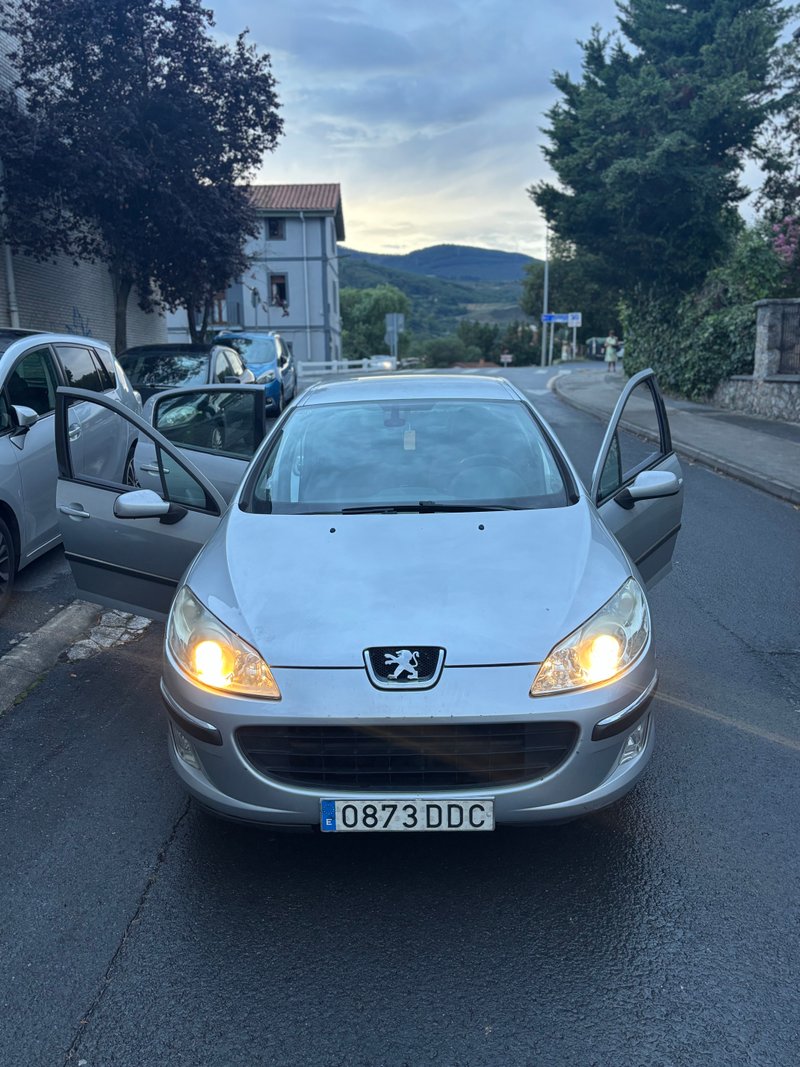 Peugeot 407 2004 - foto 1