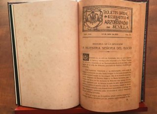 Historia de la Coronación Canónica V. del Rocío