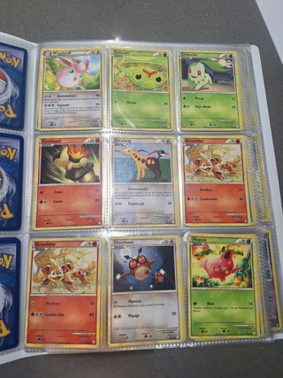 Bulk/Cartas Sueltas Pokémon – HeartGold SoulSilver