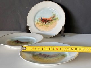 🇫🇷 Platos Limoges de Porcelana con Faisán