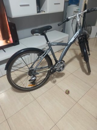 Bicicleta de paseo
