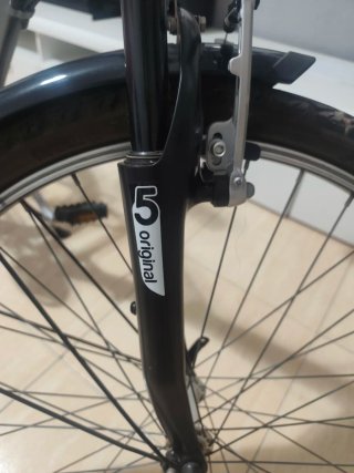 Bicicleta de paseo