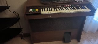 Órgano musical Studio M81